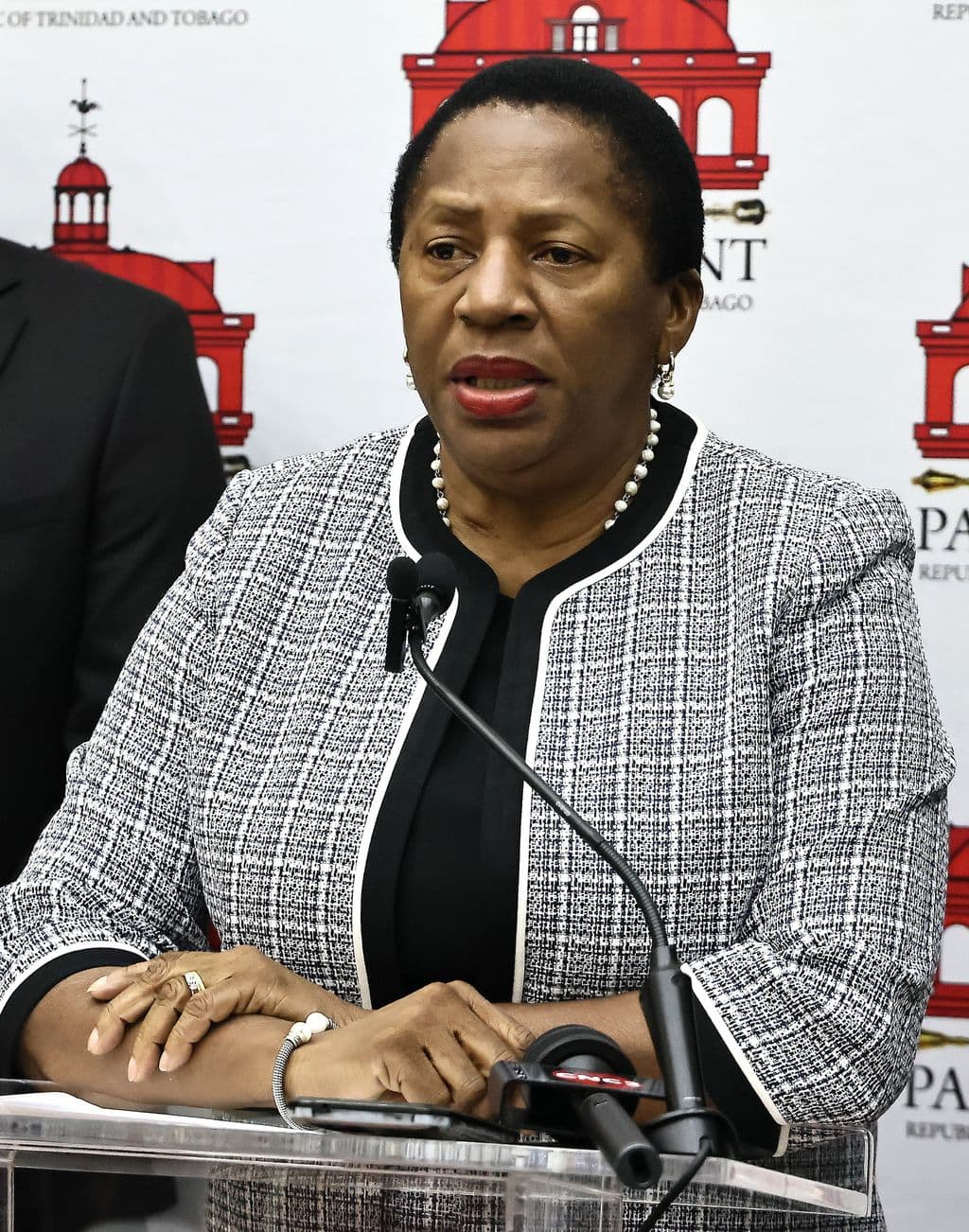 Opposition Leader questions haste in chief justice appointment