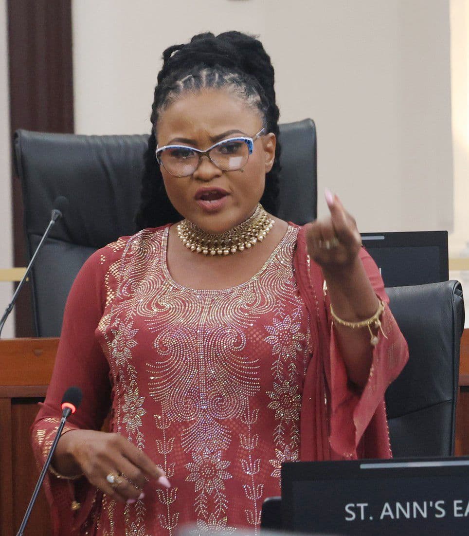 Gadsby-Dolly criticised for PM comment but gets PNM support