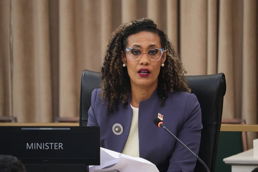 Ameen confirms audit ongoing into URP