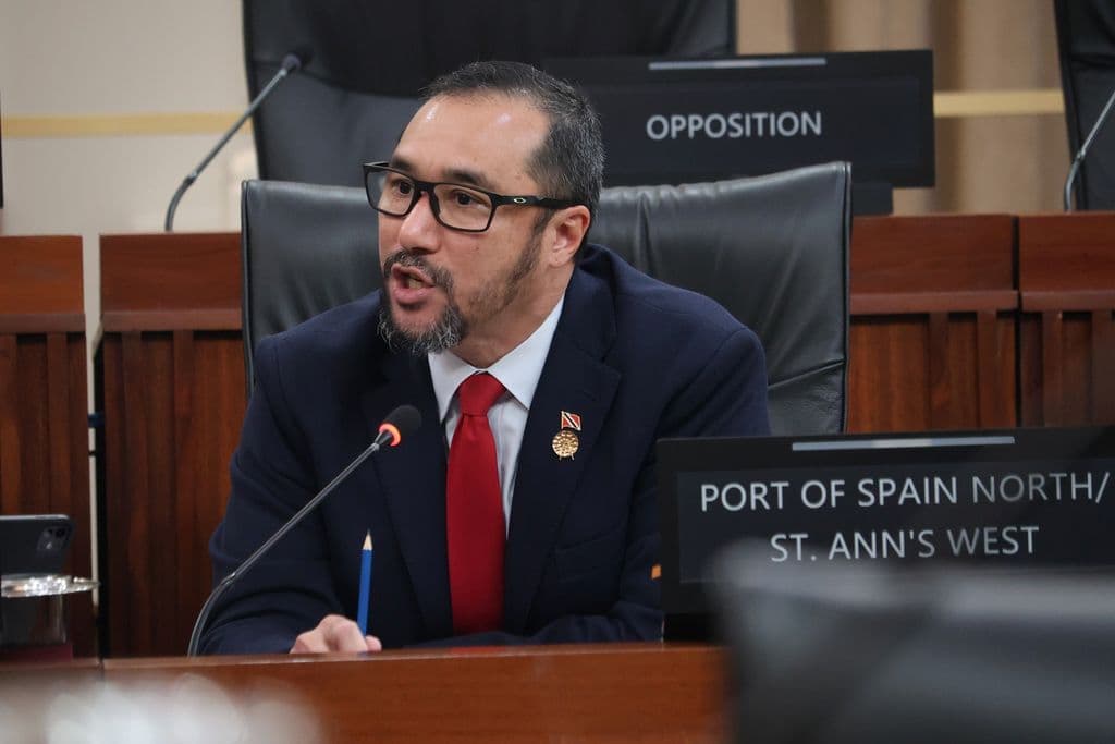 Young warns of revenue hit if Pt Lisas firms shut down