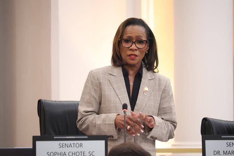 Attzs warns against ‘privatisation of violence’ bill