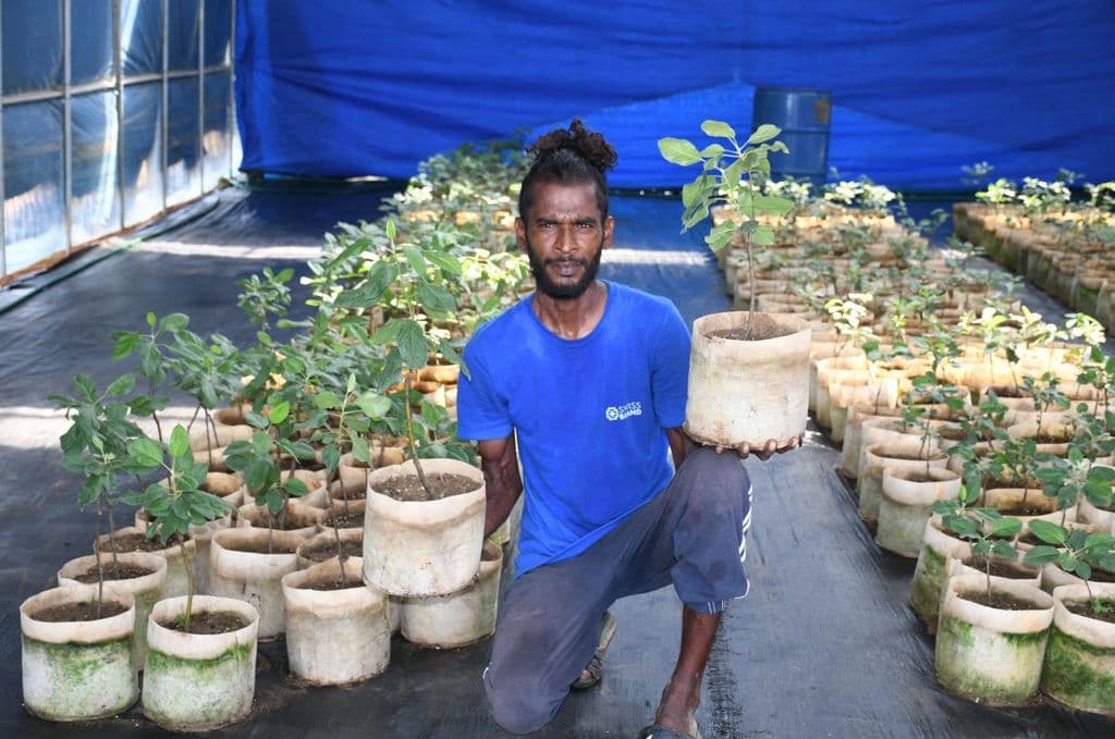 African tropical apple makes a hit in T&T