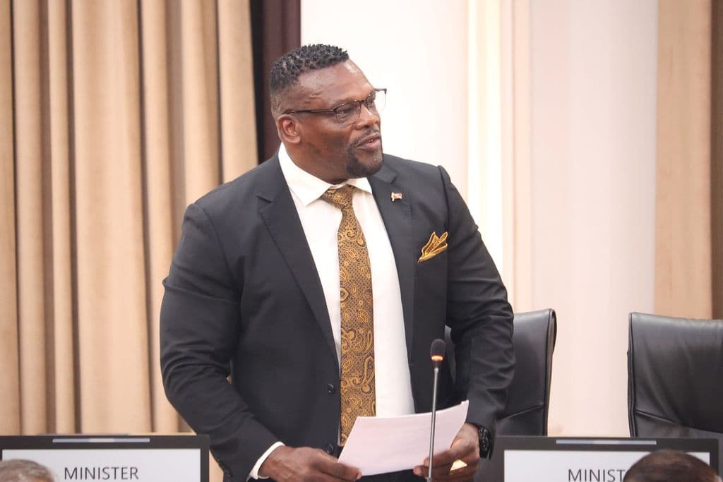 Homeland Security Minister orders probe into visitor report