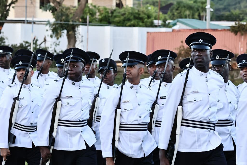 TTPS expansion sparks debate over crime strategy