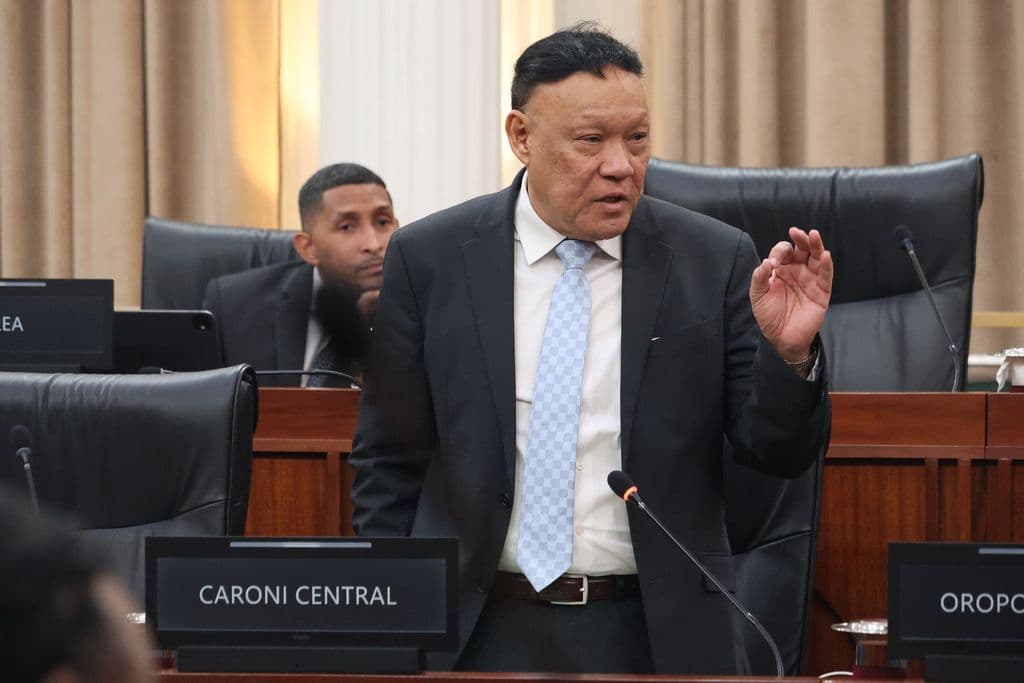 HDC probe widens beyond Gonsalves, says Lee