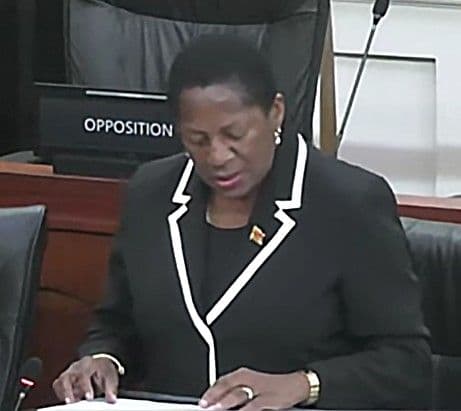 Beckles bungles: Govt changes Opposition motion after procedural error