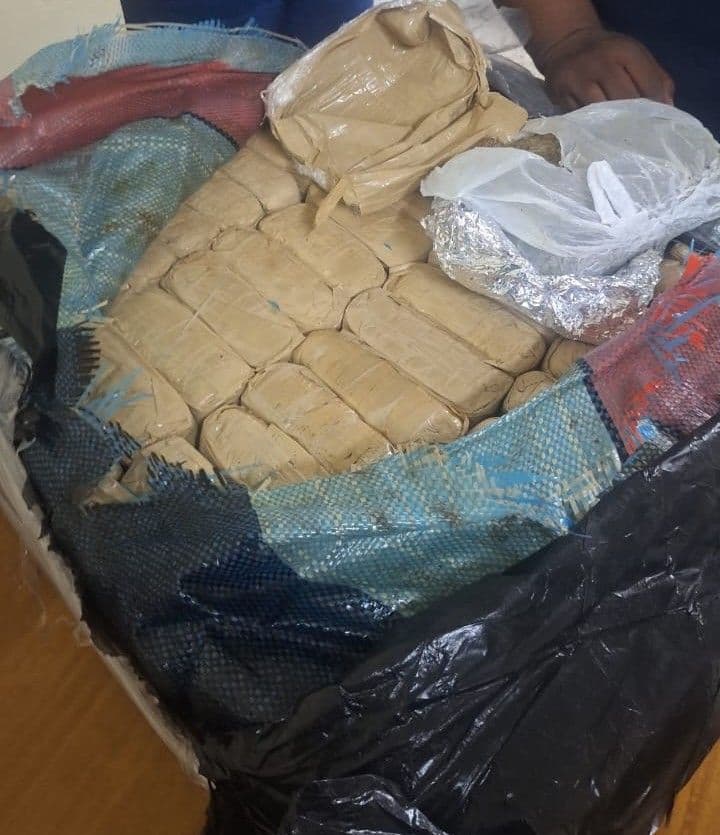 Over $7M in cannabis seized and destroyed