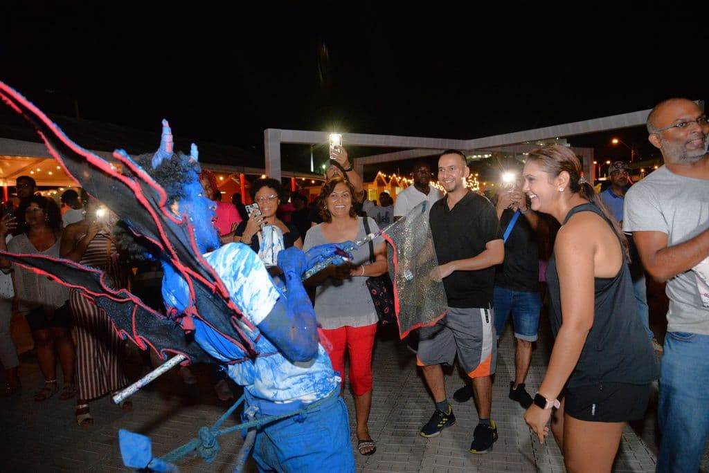 Opposition senator demands breakdown of $16M Flava Village costs