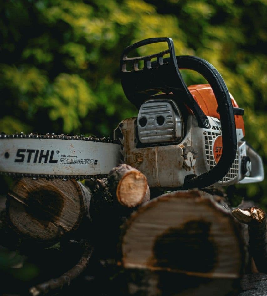 Sawmill owner killed by falling tree in Siparia