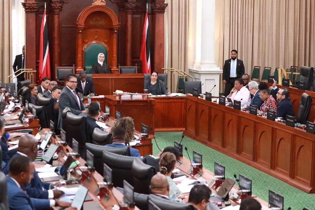 ZOSOs pass in Lower House amid Opposition warnings