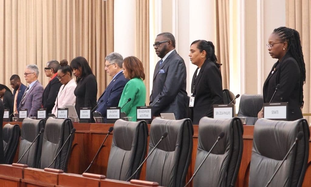 Sturge: ZOSOs not like SoE; needs senators’ support