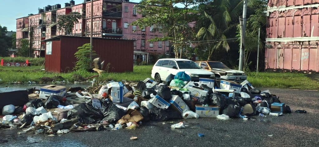 Garbage buildup sparks health fears in Maloney