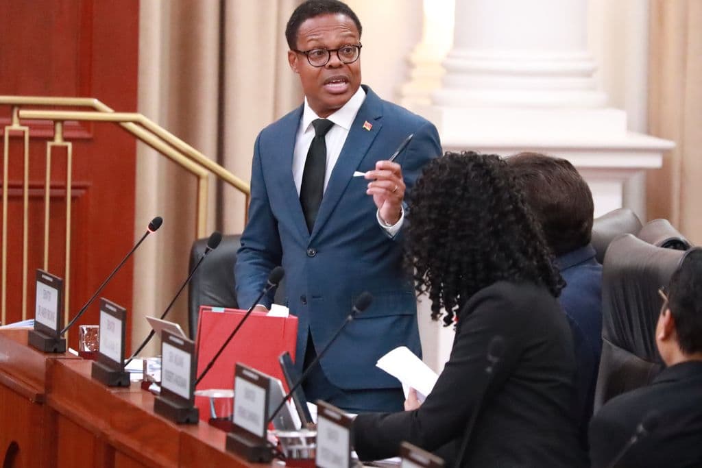 Browne says traffic bill leaves citizens at mercy of mechanics