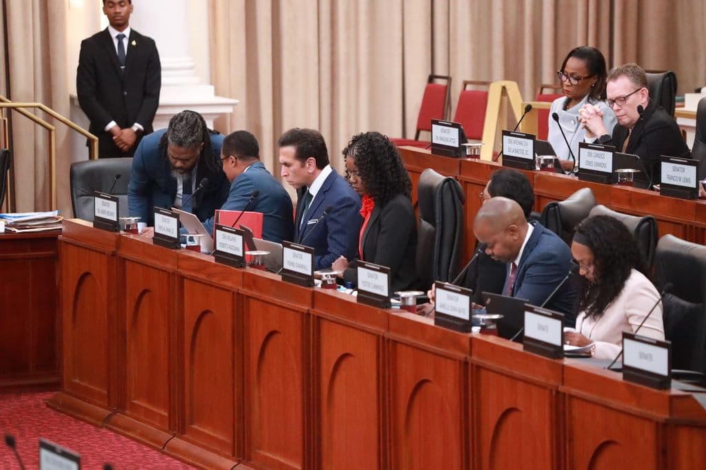 Motor vehicles bill passes with support of 8 independent senators