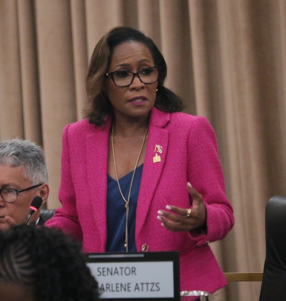 Attzs warns ZOSOs could stigmatise communities