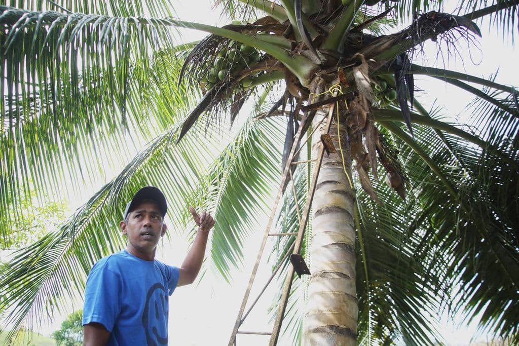 Man granted $400,000 bail in father’s death