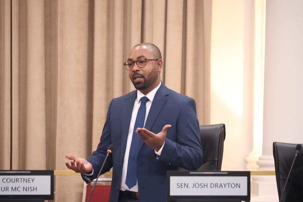 Organised crime and dirty money propping up T&T—Independent Senator