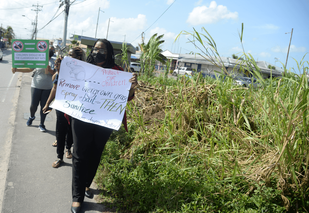 El Socorro South school faces rodent infestation, parents demand action
