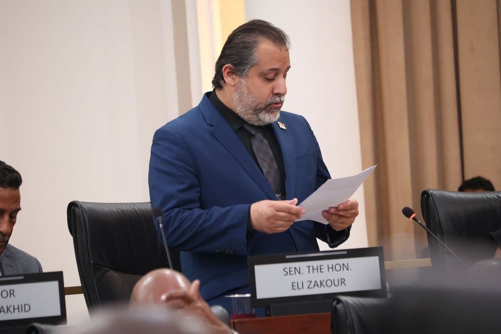 Transport Ministry reviewing use of devices for video calls in cars