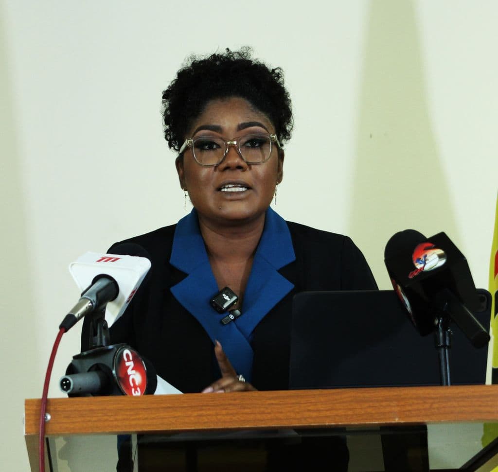 Culture Minister: No immediate plan to tax artistes