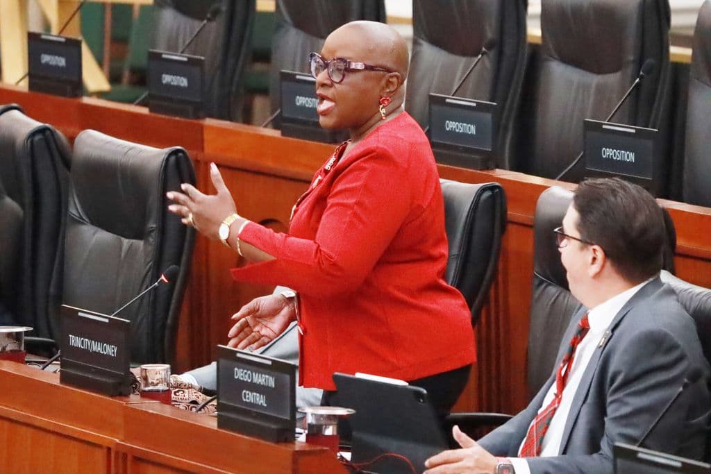 Ex-housing minister raises concerns over $3.4B HDC contracts