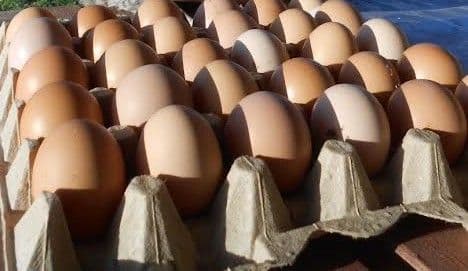 THA to double egg prices