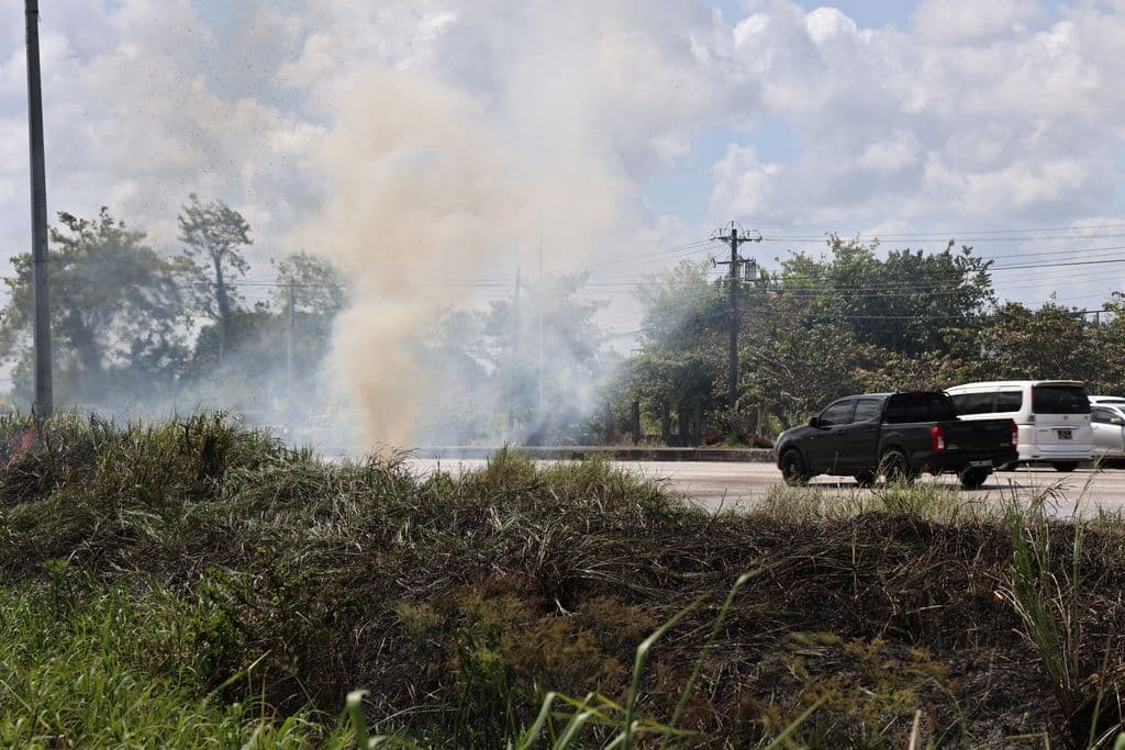 Ameen blames ‘culture of lawlessness’ for increase in bushfires in T&T