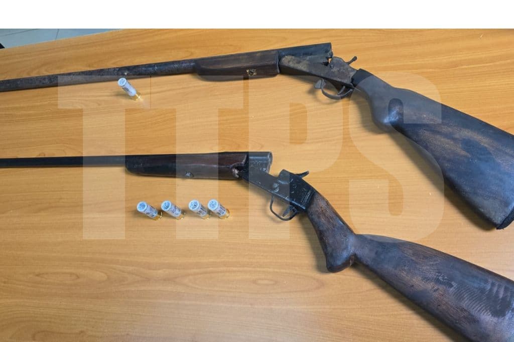Two held after homemade firearms seized in San Fernando