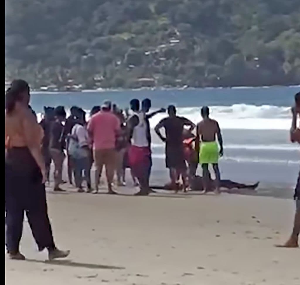 Police probe two tragedies at Tyrico Bay