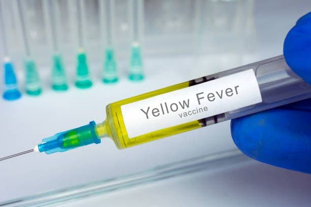PAHO releases new clinical guidelines for severe yellow fever patients