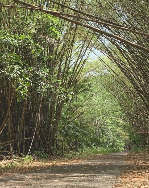 Lost hikers rescued in forest