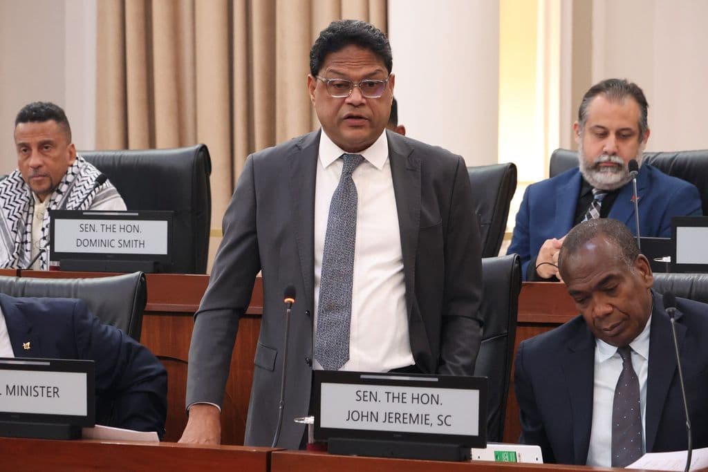 Govt introduces split sentencing to reform probation