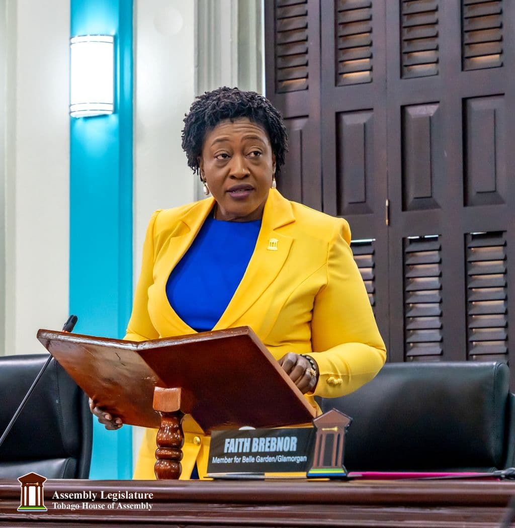 Infrastructure Secretary: THA to fix bad roads