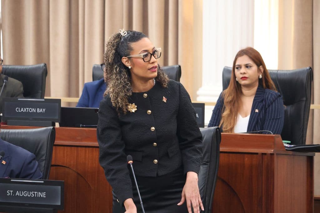 Ameen, Alleyne clash over financial state of corporations