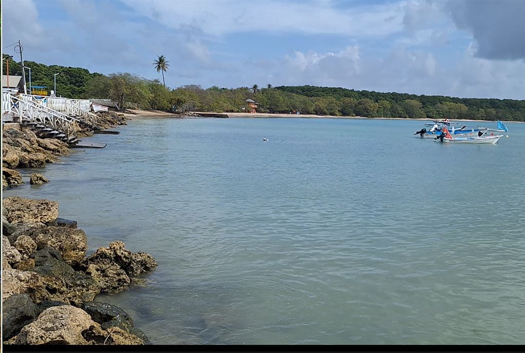 THA Secretary of Environment: No plans to designate exclusive jet ski beaches in Tobago