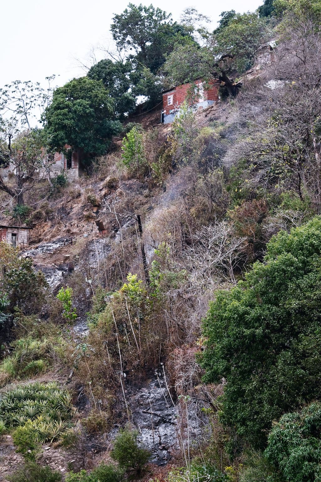 Carenage residents flee as hillside fire nears homes