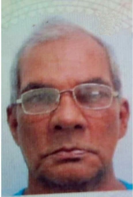 Missing pensioner found after four days in forest behind home