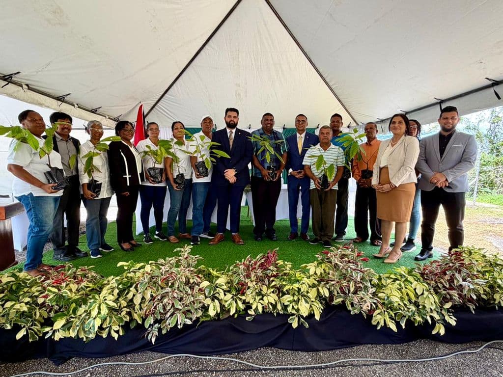 Government launches cocoa and coffee steering committee