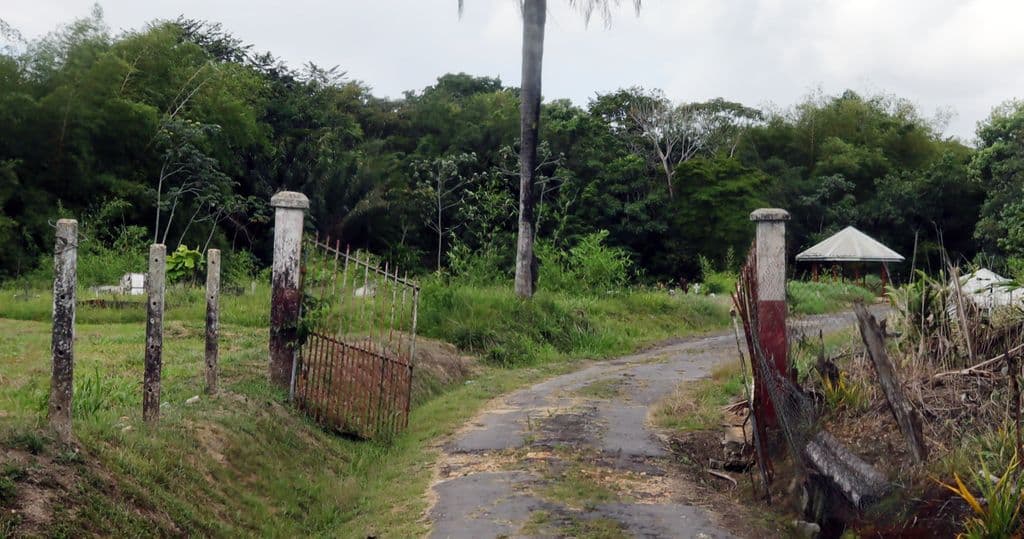 No charges yet in Cumuto mass body burial case