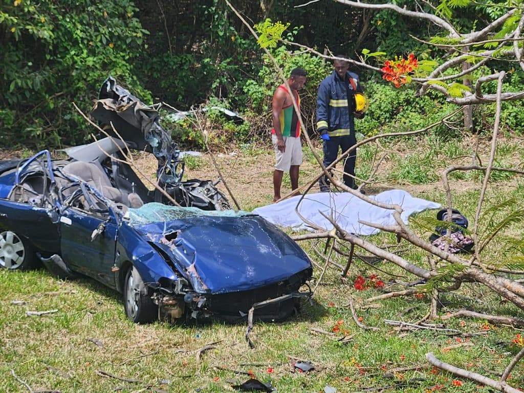 Two killed in Bacolet accident