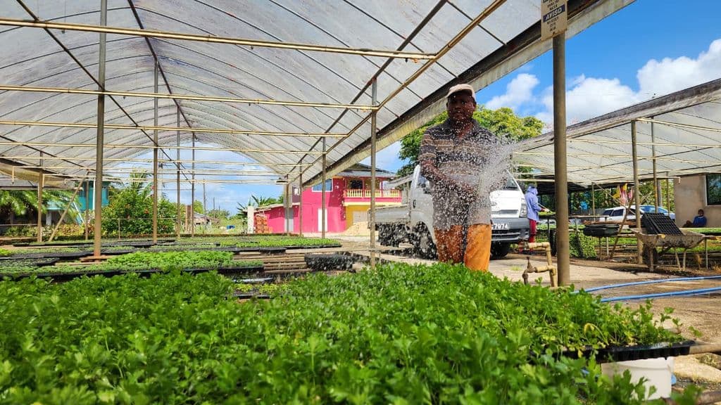 Residents back desalination plant construction but urge short-term fixes