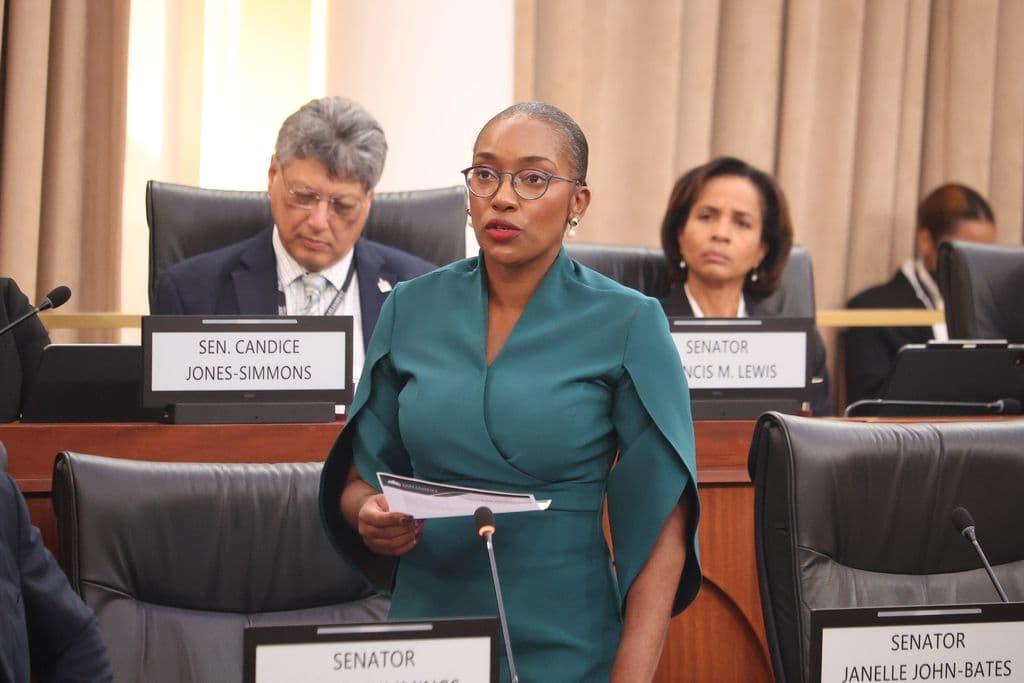 John-Bates offers resignation to PNM leader