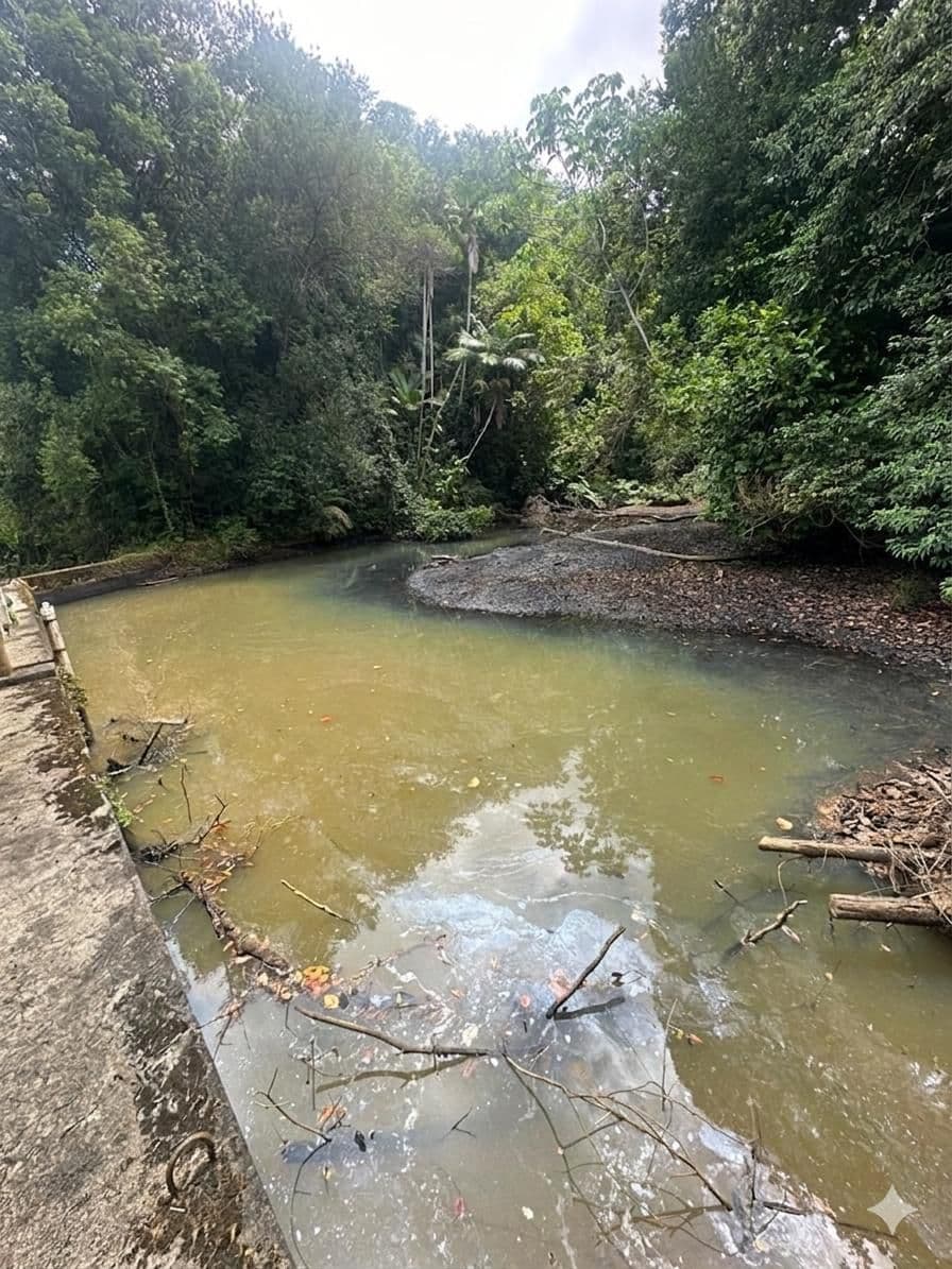 Augustine urges Speyside, Delaford residents to conserve water
