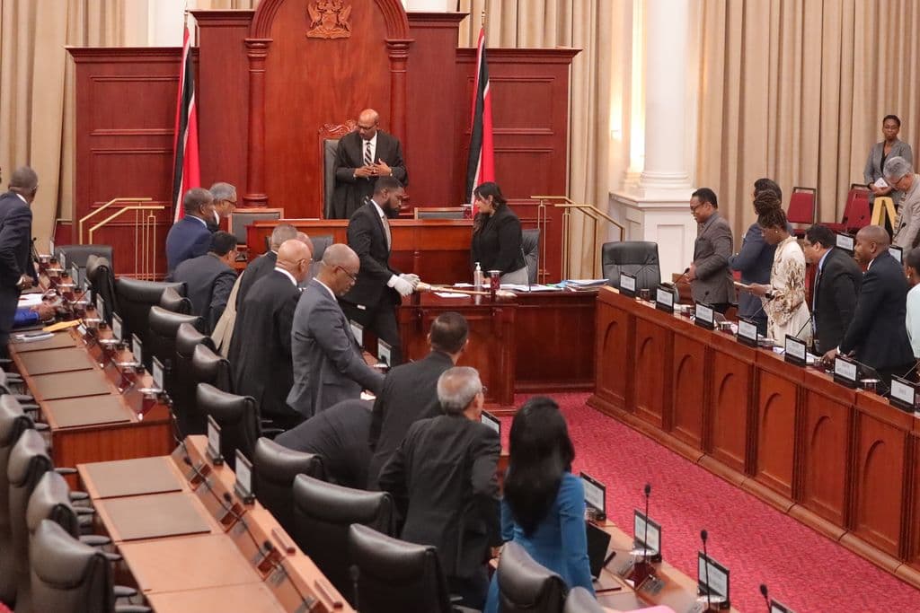 Senators question purpose of short Upper House sitting