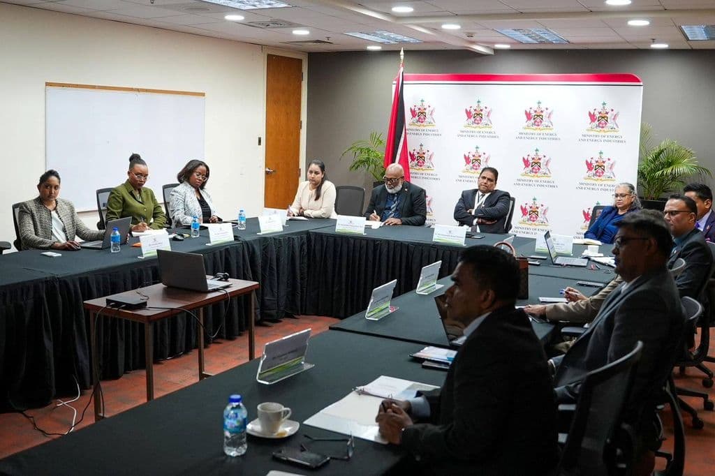 Energy Ministry meets Chevron on investment opportunities