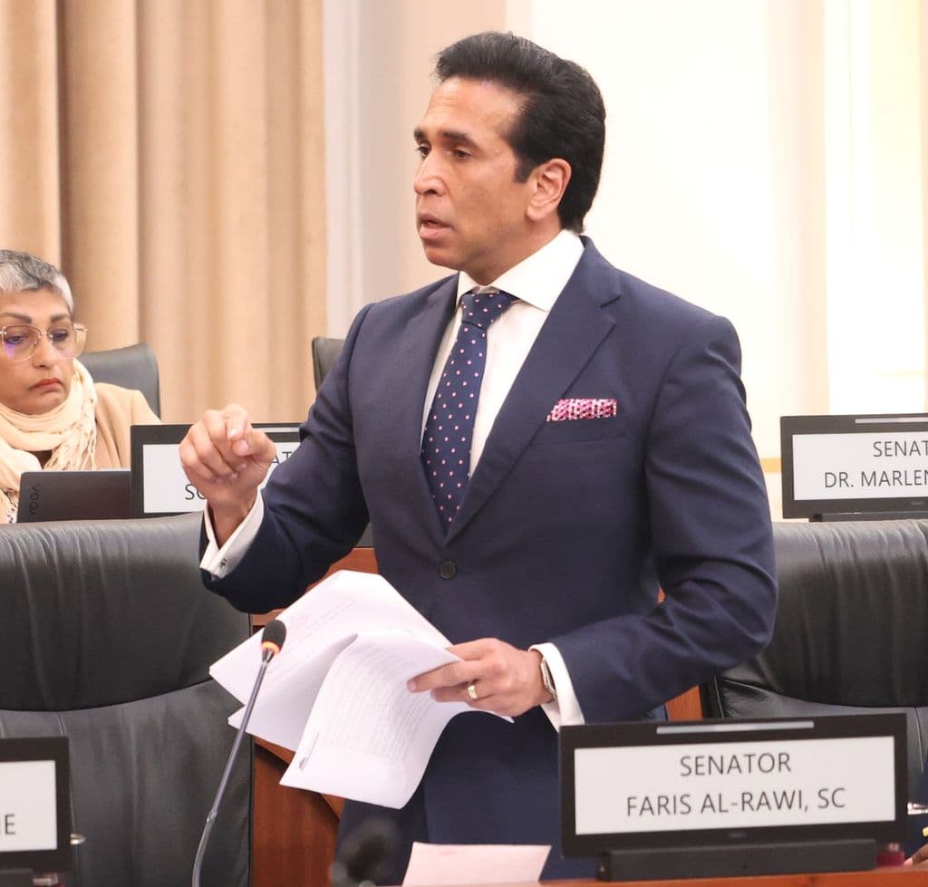 Al-Rawi temporarily removed from Senate’s Privileges Committee