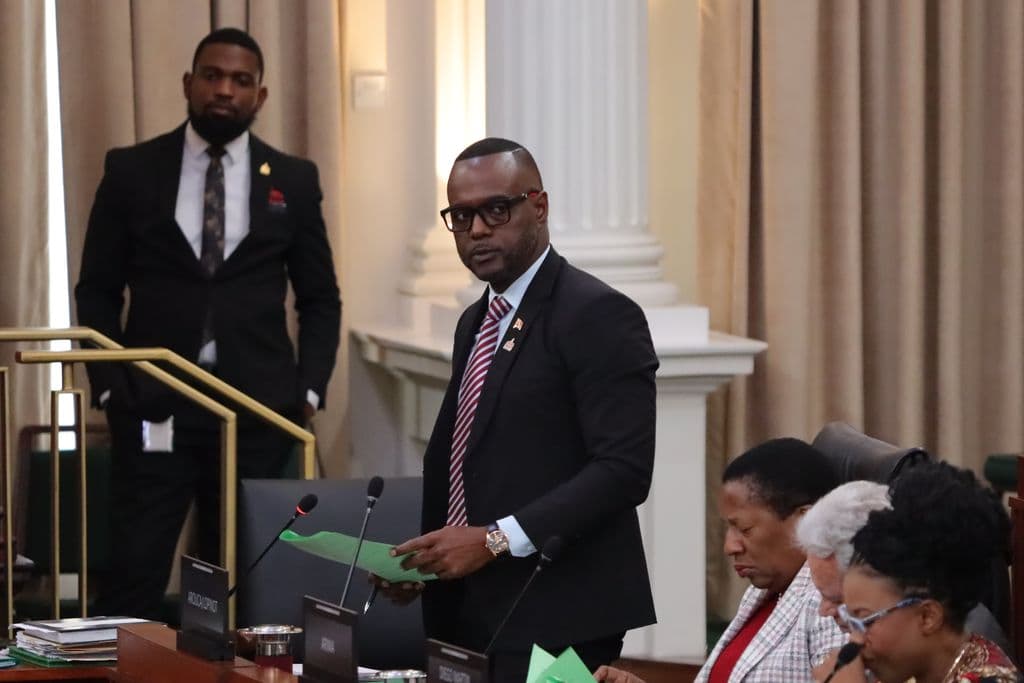 House set for heated debate on SoE, murders and MTS appointment
