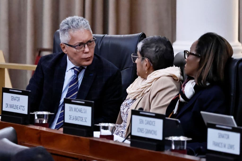Senate votes to remove John-Bates from National Security Committee