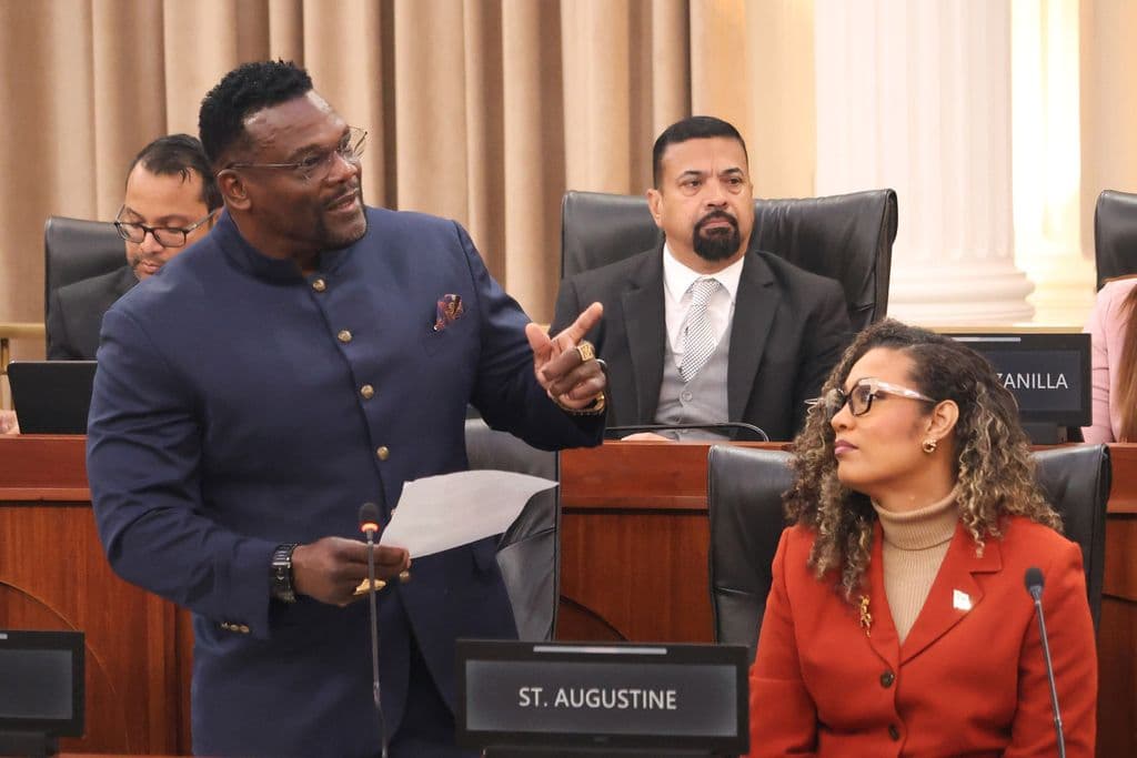 Opposition accuses Alexander of hiding behind Standing Order