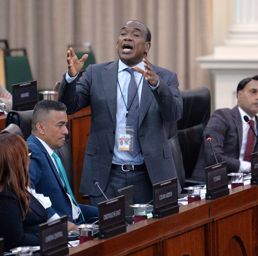 Govt passes bill to expunge minor criminal records